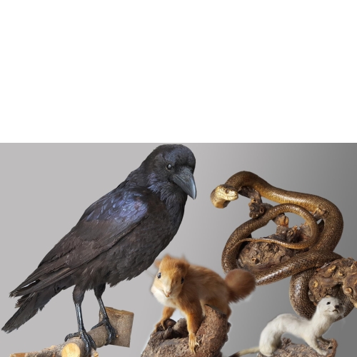 Aktuelles Veranstaltungen, Ausstellungen und besondere Termine