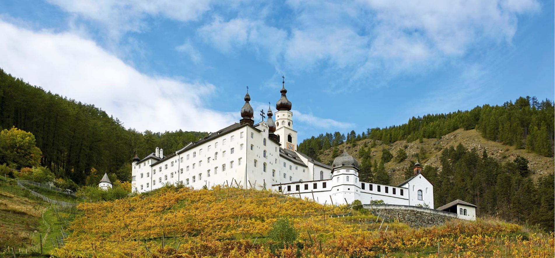 Außenaufnahme_mit_Weinberg_ReneRiller