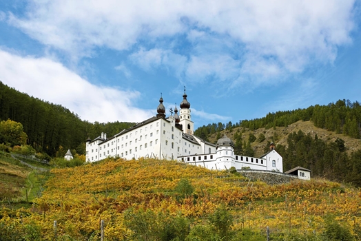 Außenaufnahme_mit_Weinberg_ReneRiller