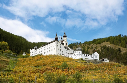 Außenaufnahme_mit_Weinberg_ReneRiller