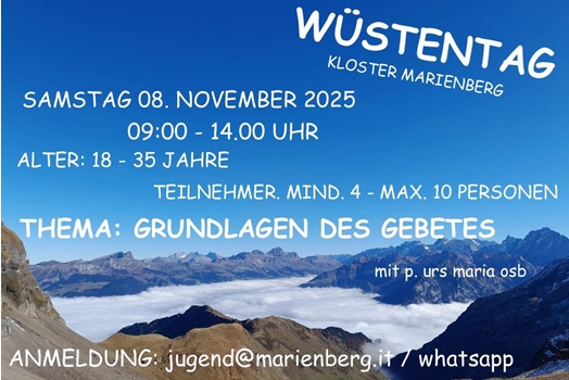 wuestentag-081125